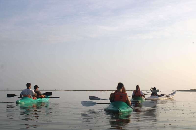Holbox: Guided Sunrise/Sunset Kayak Tour by Mangrove Reserve - Key points to know
