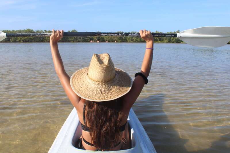 Holbox: Guided Sunrise/Sunset Kayak Tour by Mangrove Reserve - The wildlife is the star, not the promise