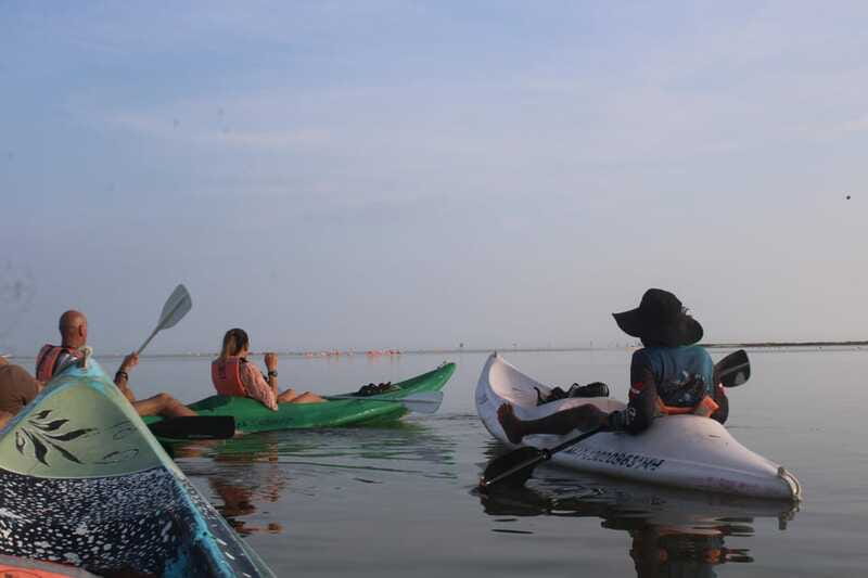 Holbox: Guided Sunrise/Sunset Kayak Tour by Mangrove Reserve - English and Spanish guiding