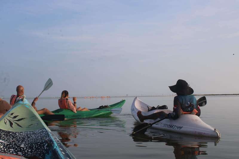 Holbox: Guided Sunrise/Sunset Kayak Tour by Mangrove Reserve - The golf cart pickup from Holbox