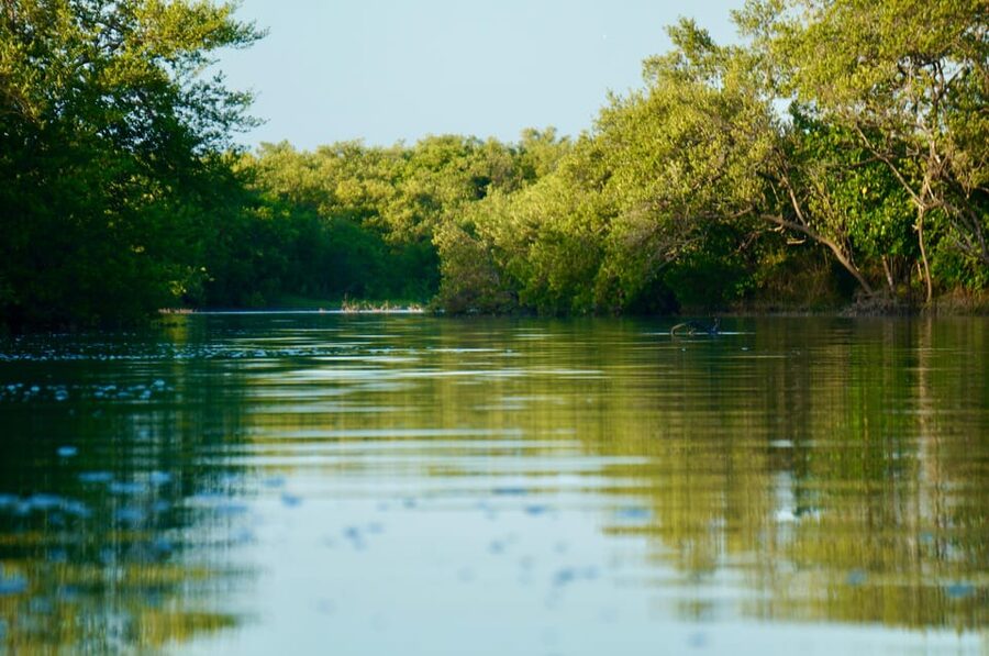 Holbox: Mangrove Sunset Kayak Tour - FAQ