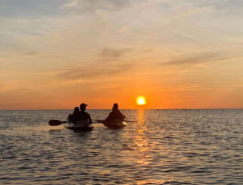 Holbox: Mangrove Sunset Kayak Tour - Three mangroves and a protected ecosystem