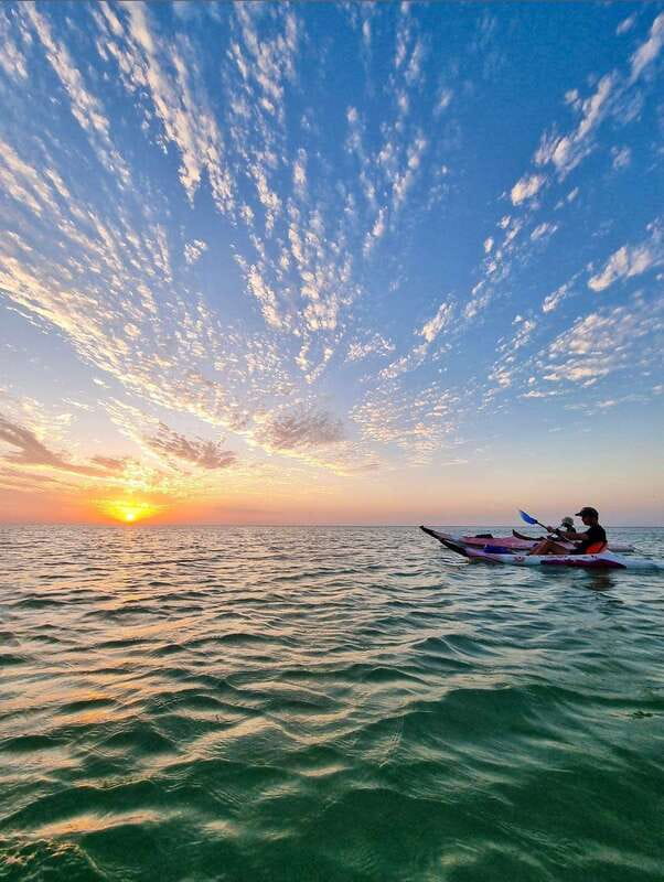 Holbox: Mangrove Sunset Kayak Tour - Crocodiles at a respectful distance