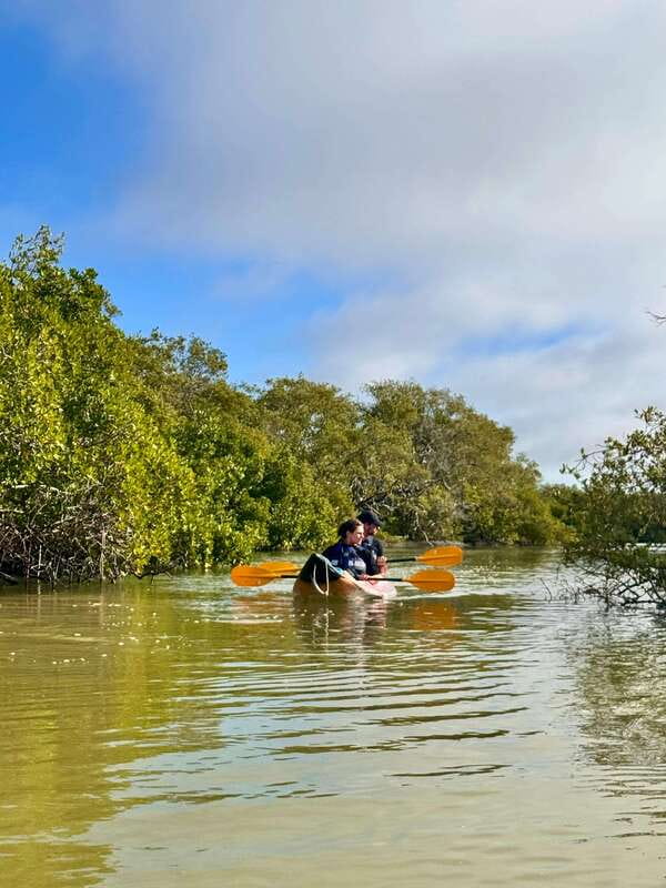 Holbox: Mangrove Sunset Kayak Tour - My call: a strong choice for nature lovers