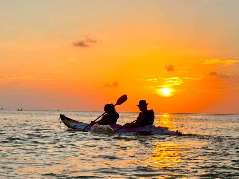 Holbox: Mangrove Sunset Kayak Tour - Bird watching from a kayak