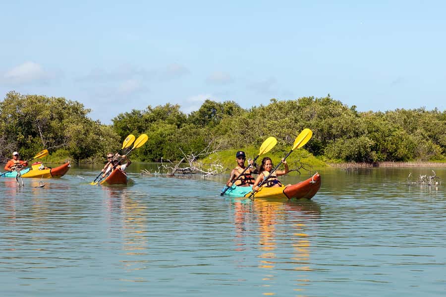 Holbox: Sunrise Kayak Tour through the Mangroves - From Holbox beach to the Kuká River