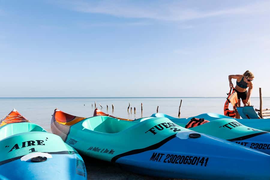 Holbox: Sunrise Kayak Tour through the Mangroves - Practical advice for a smoother morning