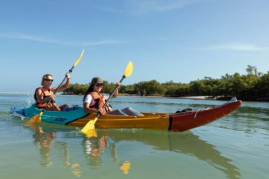 Holbox: Sunrise Kayak Tour through the Mangroves - Two hours among Holbox’s mangroves