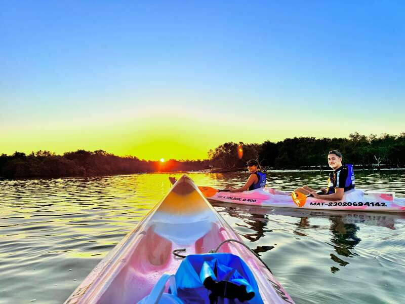 Holbox: Sunrise & Mangrove Kayak Tour - Starting before sunrise at Punta Mosquito