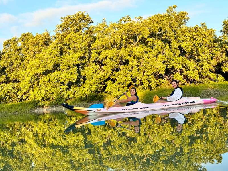 Holbox: Sunrise & Mangrove Kayak Tour - Watching crocodiles without crowding them