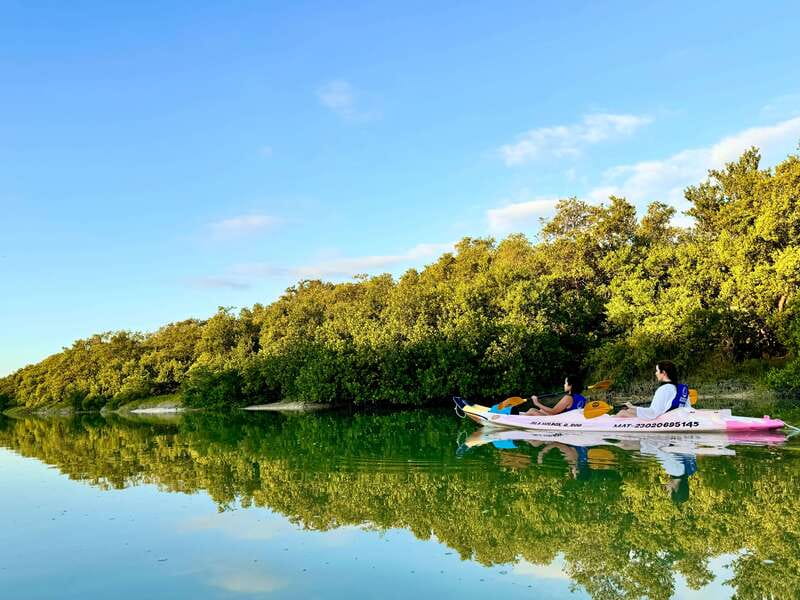 Holbox: Sunrise & Mangrove Kayak Tour - Physical effort, weather, and what to pack
