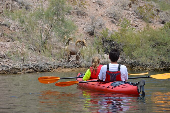 Hoover Dam & Hot Springs Kayak Tour with Lunch & Expert Guide - Paddling 12 miles through Black Canyon