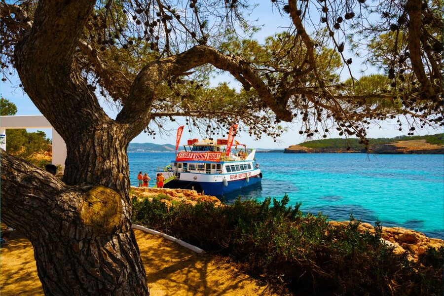 Ibiza: Beach Hopping Cruise w/ Paddleboard, Food, & Drinks - Starting at San Antonio harbor