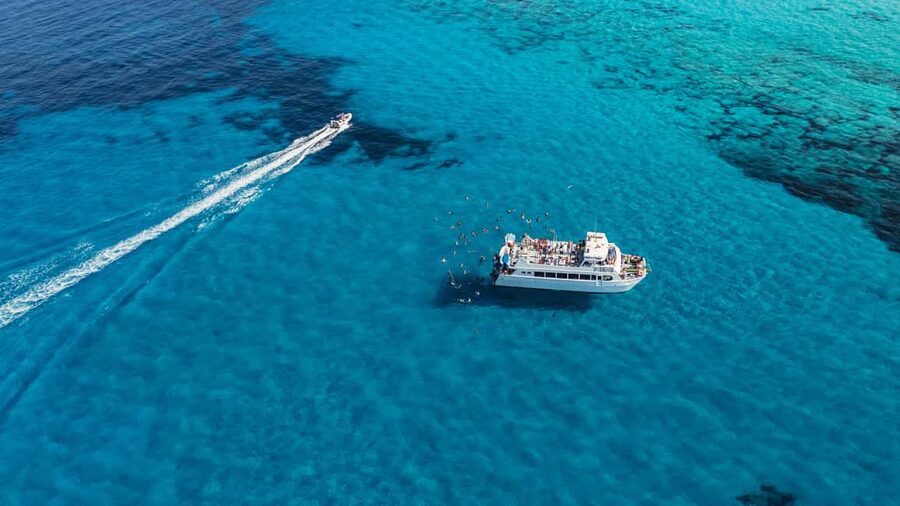 Ibiza: Formentera Trip with Paddle, Snorkel and Lunch - Key points to know before booking