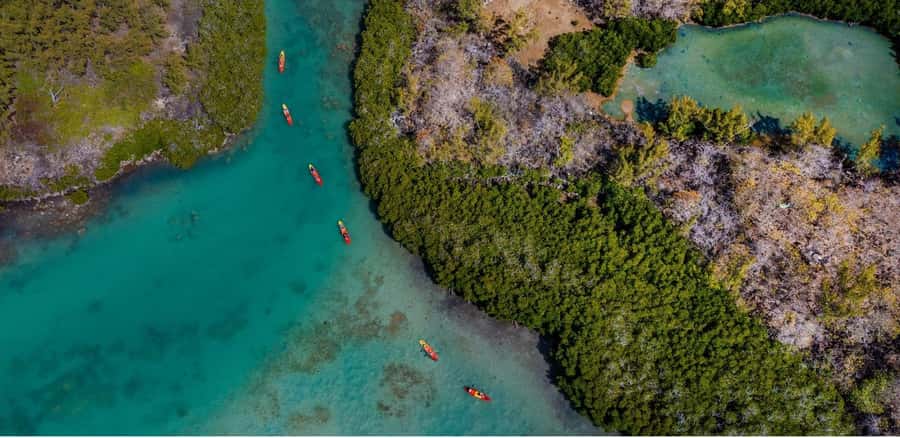 Ile d Ambre Kayaking - How the $64 Price Holds Up