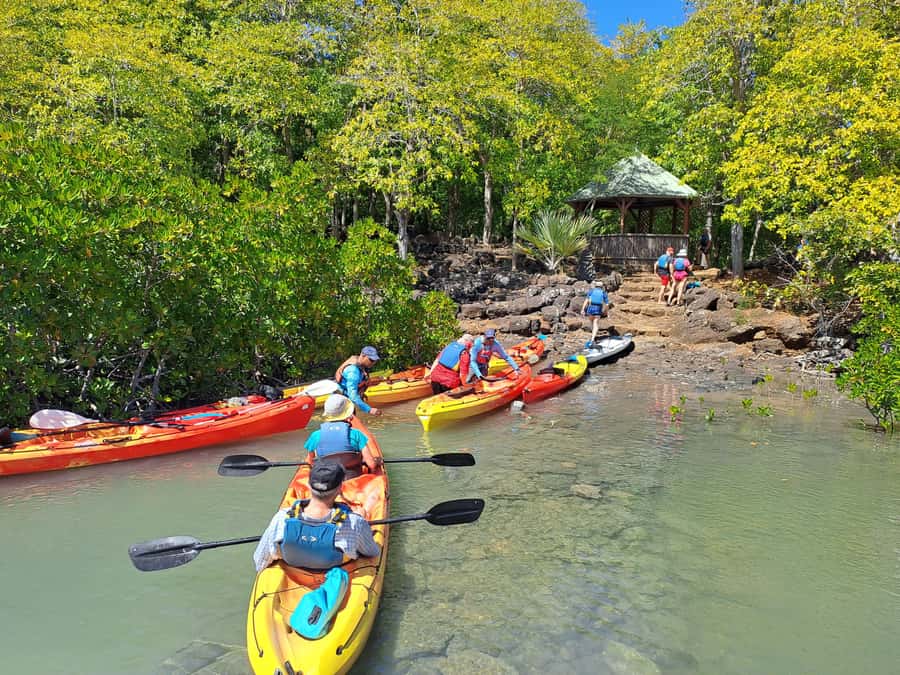Ile d Ambre Kayaking - Who Will Enjoy This Outing Most