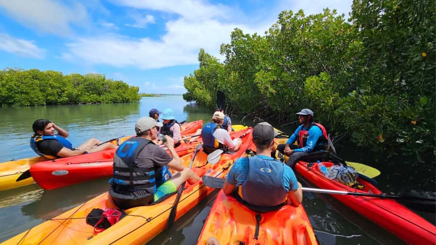 Ile d Ambre Kayaking - Practical Tips for a Smoother Morning or Afternoon