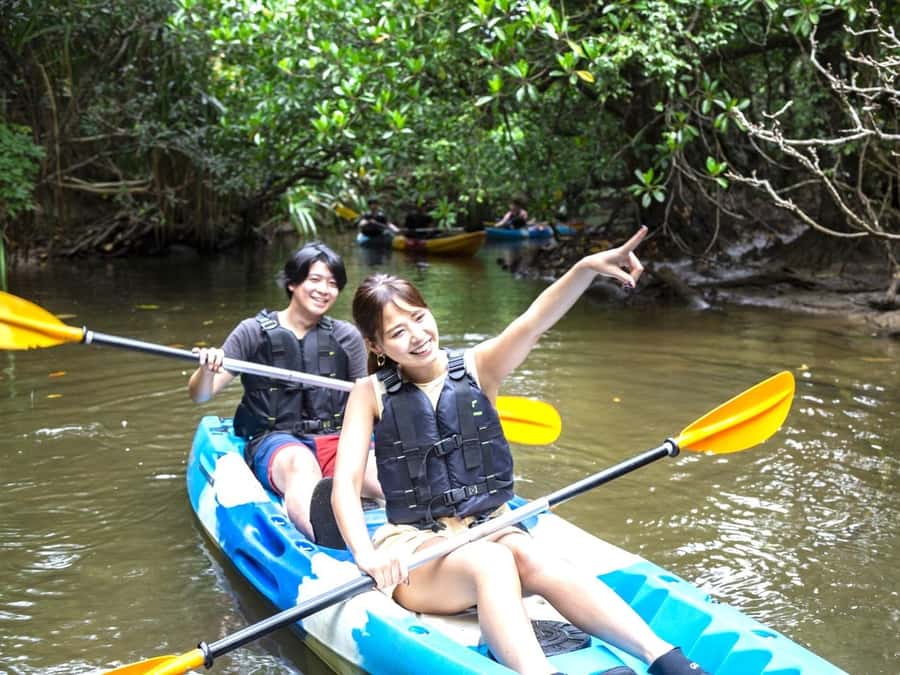 Iriomote island: Mangrove River SUP or Canoe Cruising Tour - Key points to know before you book