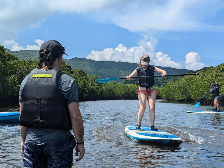 Iriomote island: Mangrove River SUP or Canoe Cruising Tour - Iriomote’s mangroves are the main event