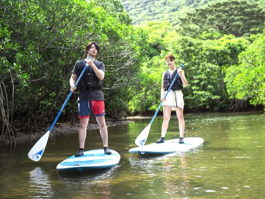 Iriomote island: Mangrove River SUP or Canoe Cruising Tour - Ninety minutes of canoeing or SUP