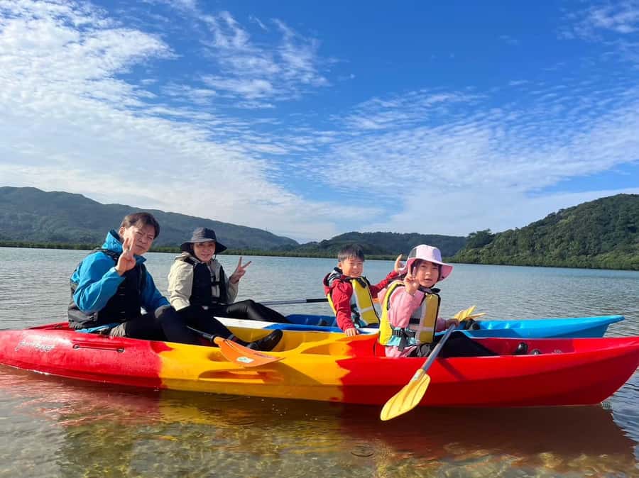 Iriomote island: Mangrove River SUP or Canoe Cruising Tour - What low tide adds to the outing