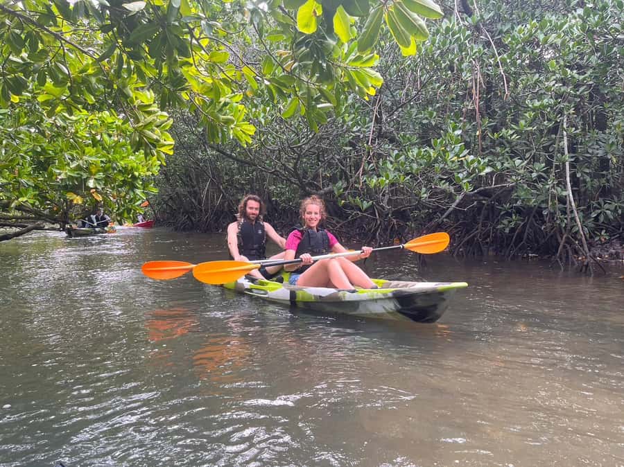 Iriomote island: Mangrove River SUP or Canoe Cruising Tour - A short break before returning to the port