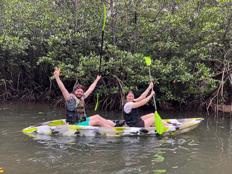 Iriomote island: Mangrove River SUP or Canoe Cruising Tour - Who will enjoy this most?