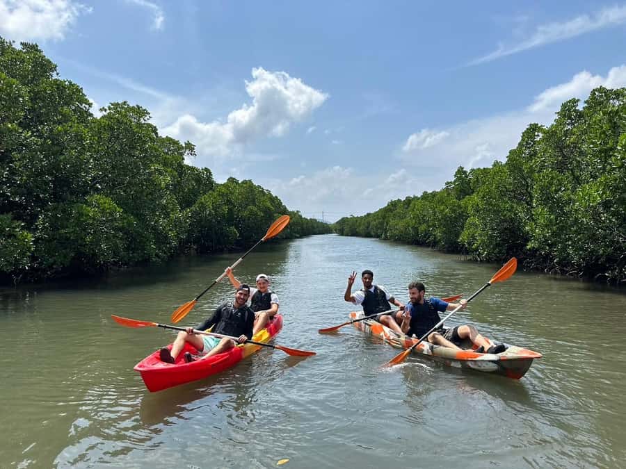 Iriomote island: Mangrove River SUP or Canoe Cruising Tour - Practical preparation for a smoother morning