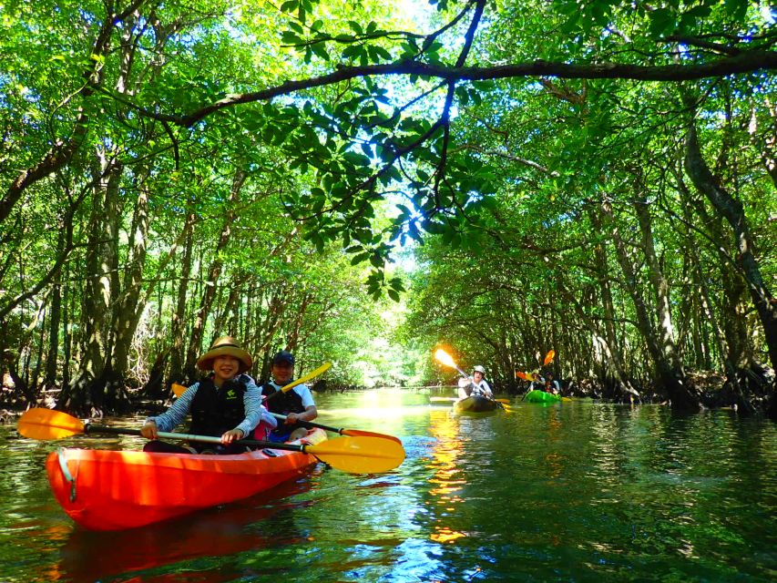 Iriomote Island: SUP or Canoeing and Canyoning Tour - From Uehara Port into Iriomote’s mangroves