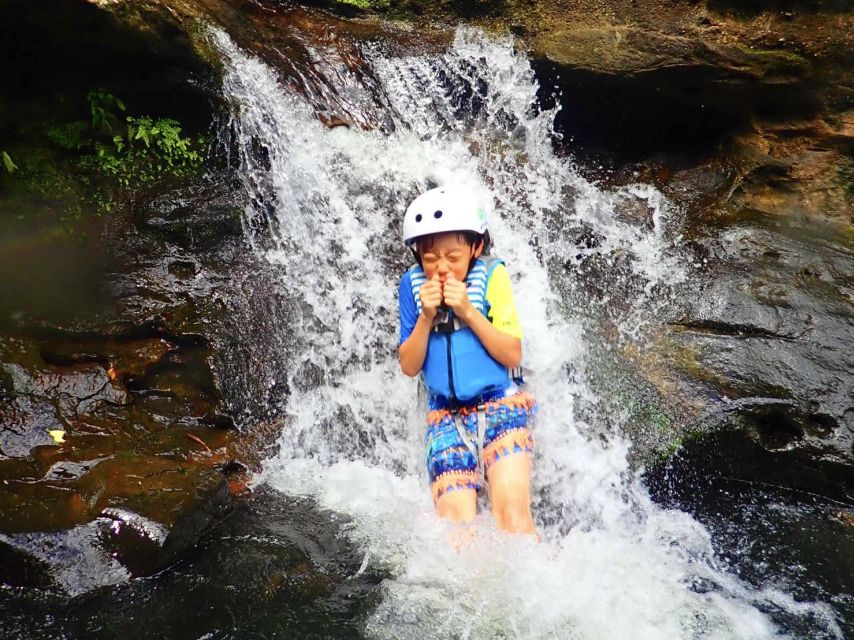 Iriomote Island: SUP or Canoeing and Canyoning Tour - What the $96 price really covers