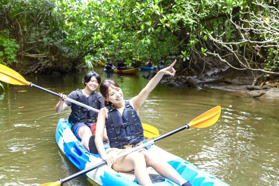 Iriomote Island: SUP or Canoeing and Canyoning Tour - Practical preparation for a smoother day