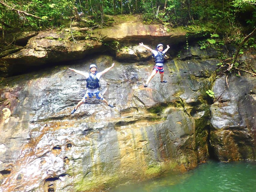 Iriomote Island: SUP or Canoeing and Canyoning Tour - Should you book it?