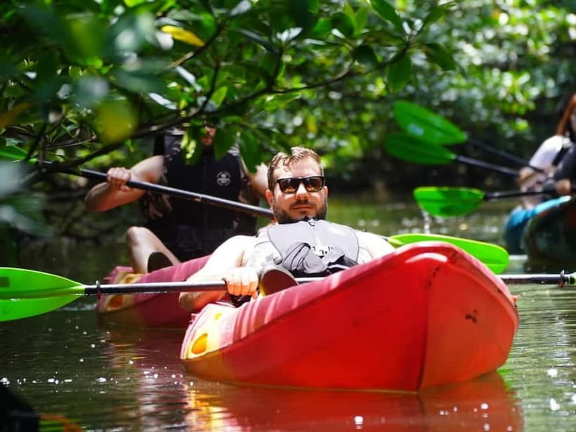 Iriomote: Mangrove SUP or Canoe and Yubujima sightseeing - Key points to know before booking