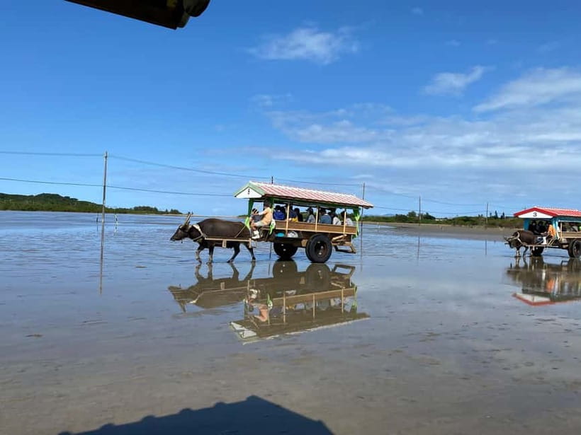 Iriomote: Mangrove SUP or Canoe and Yubujima sightseeing - Why the mangroves make this six-hour trip worthwhile