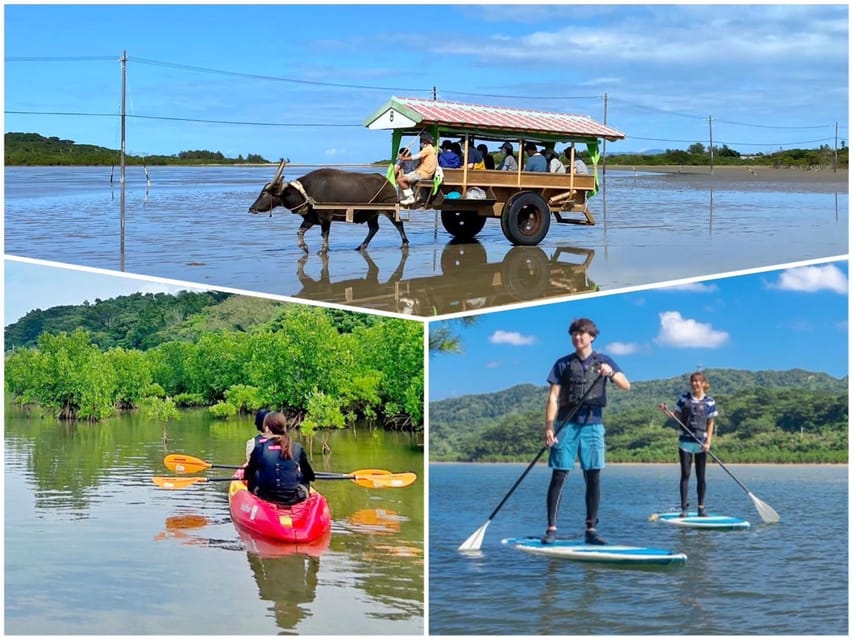 Iriomote: Mangrove SUP or Canoe and Yubujima sightseeing - Getting to Uehara Port from Ishigaki