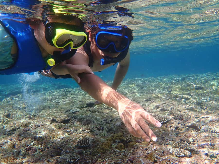 Ishigaki: Canoe or SUP at Kabira Bay&Snorkeling at Blue Cave - A schedule that can change with the sea