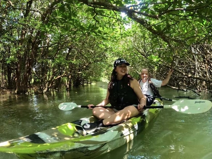 Ishigaki Island: 2-Hour Miyara River SUP or Canoeing Tour - Key Points Before You Paddle