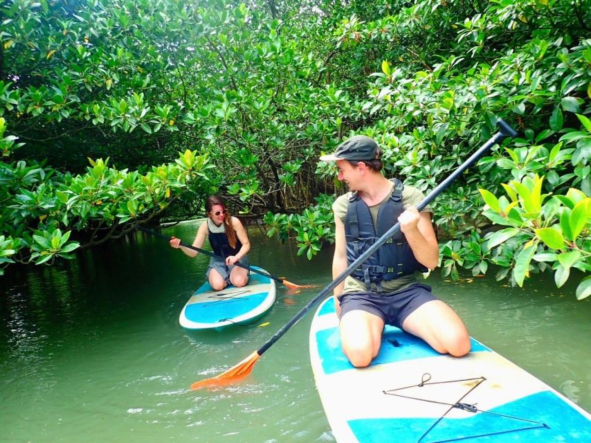 Ishigaki Island: 2-Hour Miyara River SUP or Canoeing Tour - Age Limits and Fitness