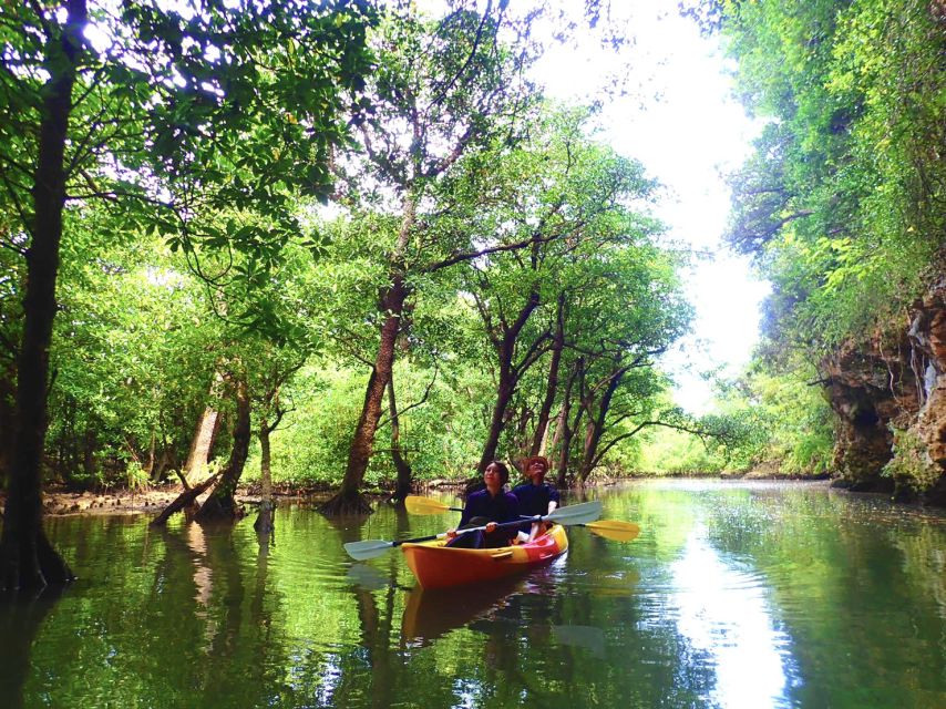 Ishigaki Island: 2-Hour Miyara River SUP or Canoeing Tour - The 75-Minute Paddle Through Protected Mangroves