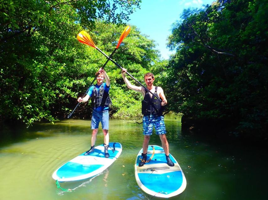 Ishigaki Island: 2-Hour Miyara River SUP or Canoeing Tour - Heat, Clothing, and Getting Wet