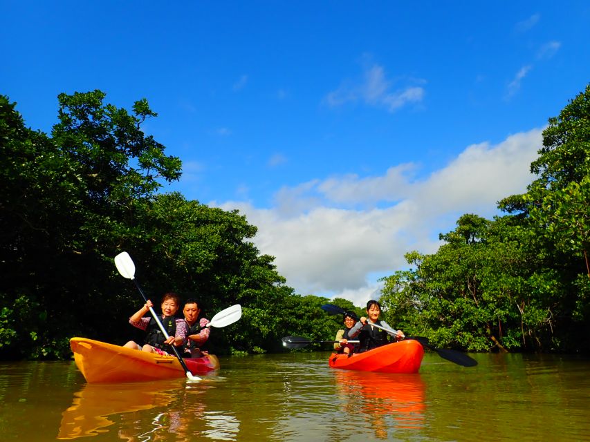 Ishigaki Island: 2-Hour Miyara River SUP or Canoeing Tour - Starting at Ishigaki Port