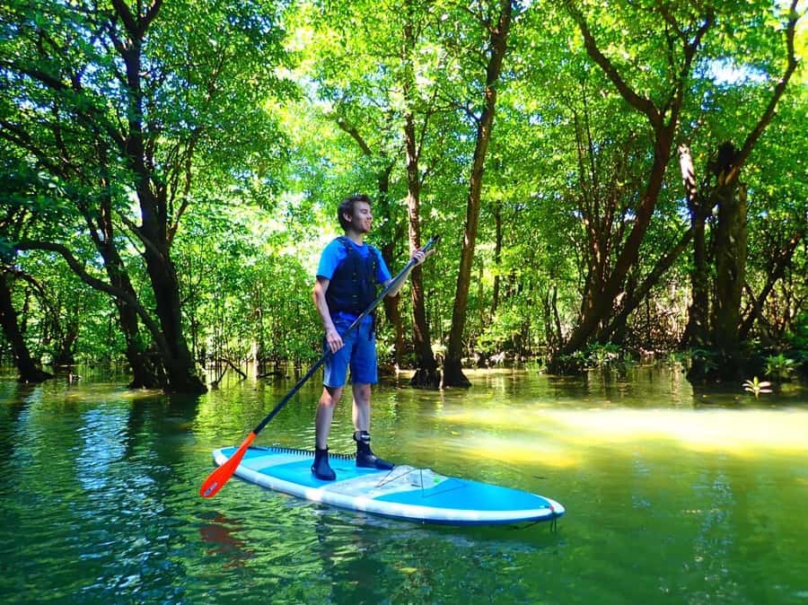 Ishigaki Island: SUP or Canoeing and Snorkeling at Blue Cave - Key points to know before booking