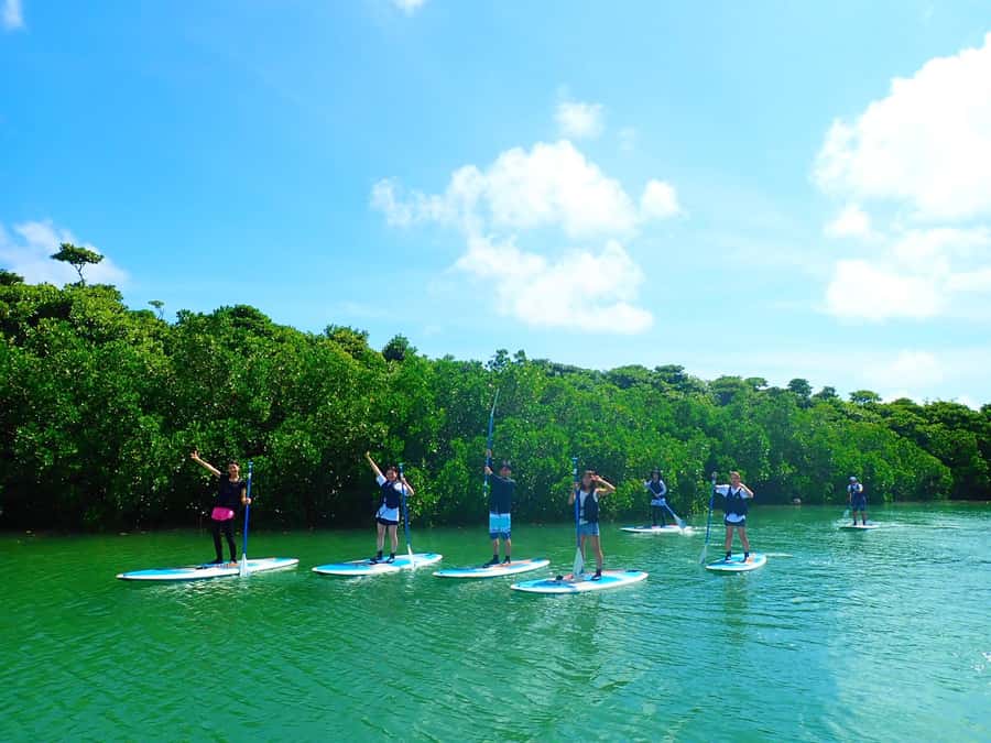 Ishigaki Island: SUP or Canoeing and Snorkeling at Blue Cave - Snorkeling at the Blue Cave