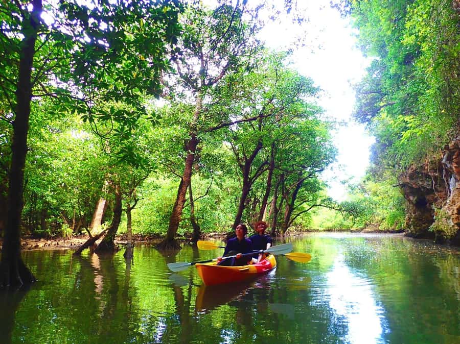 Ishigaki Island: SUP or Canoeing and Snorkeling at Blue Cave - Practical preparation for the day