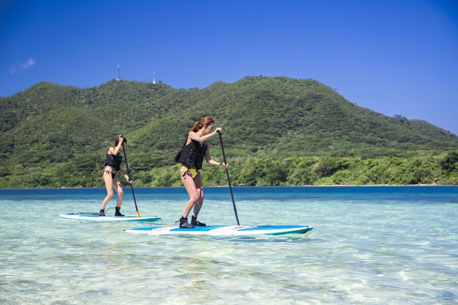 Ishigaki Island: SUP or Kayaking experience at Kabira Bay - What the $54 price really covers