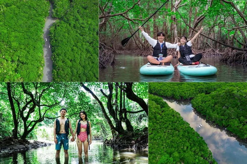 Ishigaki:Mangrove&Sea SUP/Kayak Tour with SLR&Drone footage - Turning the mangroves into an aerial photograph