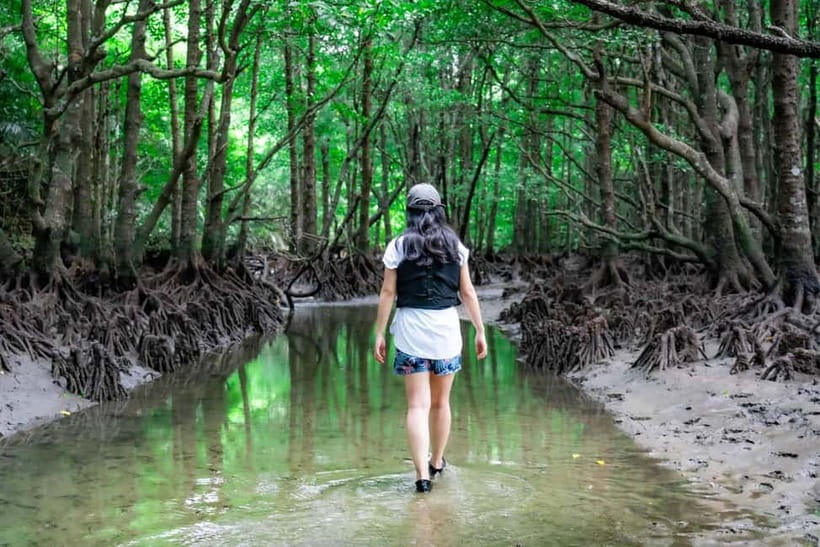 Ishigaki:Mangrove&Sea SUP/Kayak Tour with SLR&Drone footage - Weather, tides, and the limits of a water tour