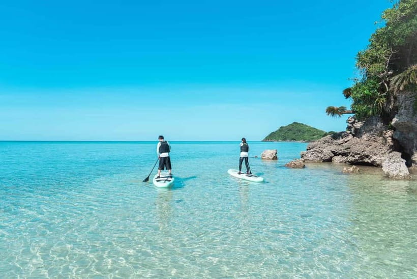 Ishigaki:Mangrove&Sea SUP/Kayak Tour with SLR&Drone footage - What makes the photos worth considering