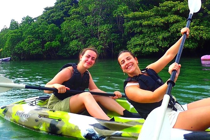 [Ishigaki]Mangrove SUP/Canoe + Blue Cave Snorkeling - What is included for $89.19
