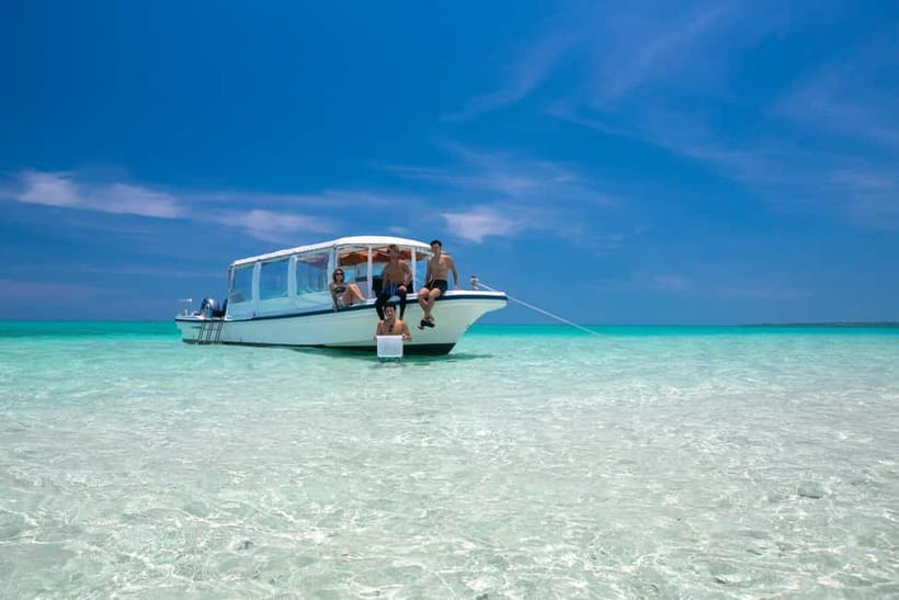 Ishigaki: Mangrove SUP or Canoe & Phantom Island Snorkeling - Paddling beneath Miyara River’s mangroves